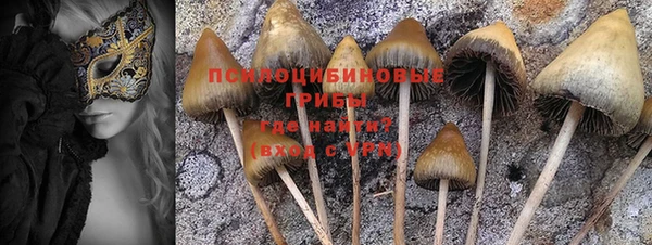дурь Аркадак