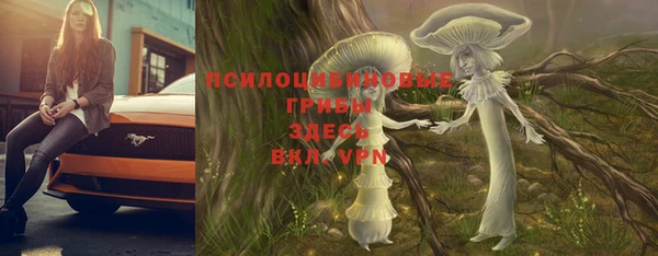 дурь Аркадак